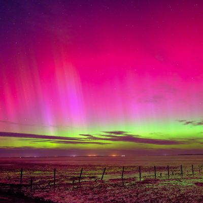 Eruptionen auf der Sonne sorgen derzeit für gute Chancen auf Polarlichter besonders im Norden Deutschlands.