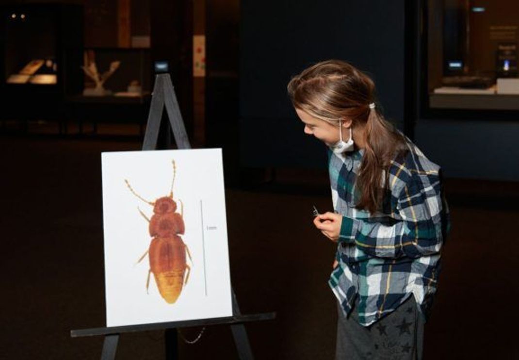 Greta Thunberg steht vor einem Bild von dem nach ihr benannten Käfer.