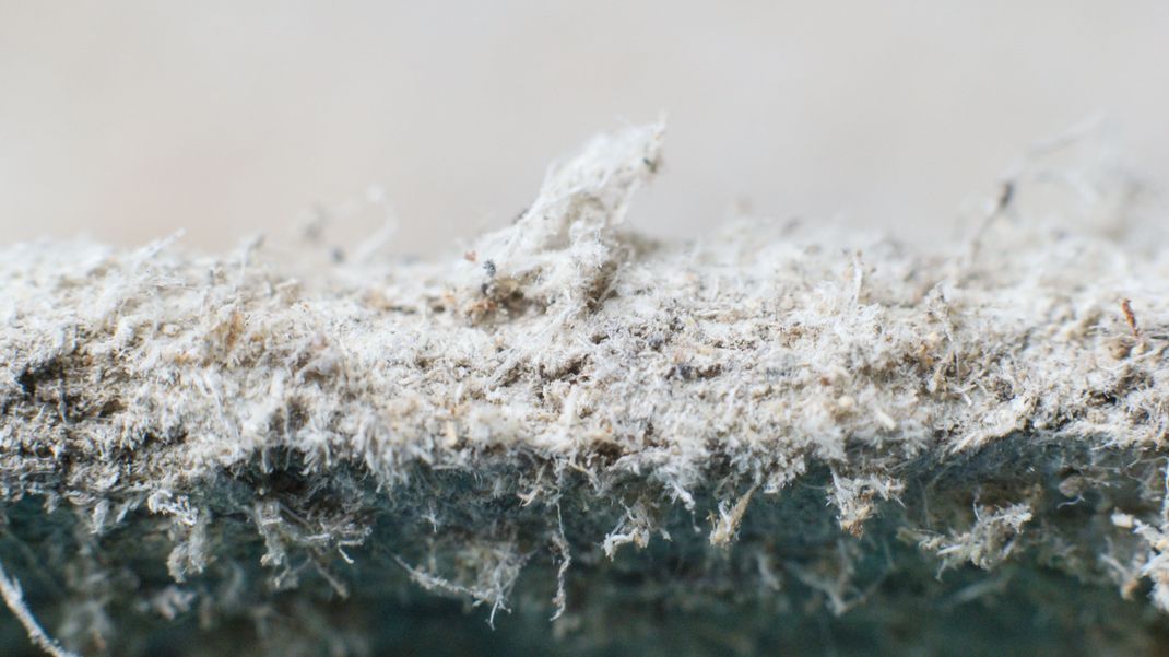 Asbest ist an seiner faserigen Struktur und grünlich-grauen Farbe zu erkennen.