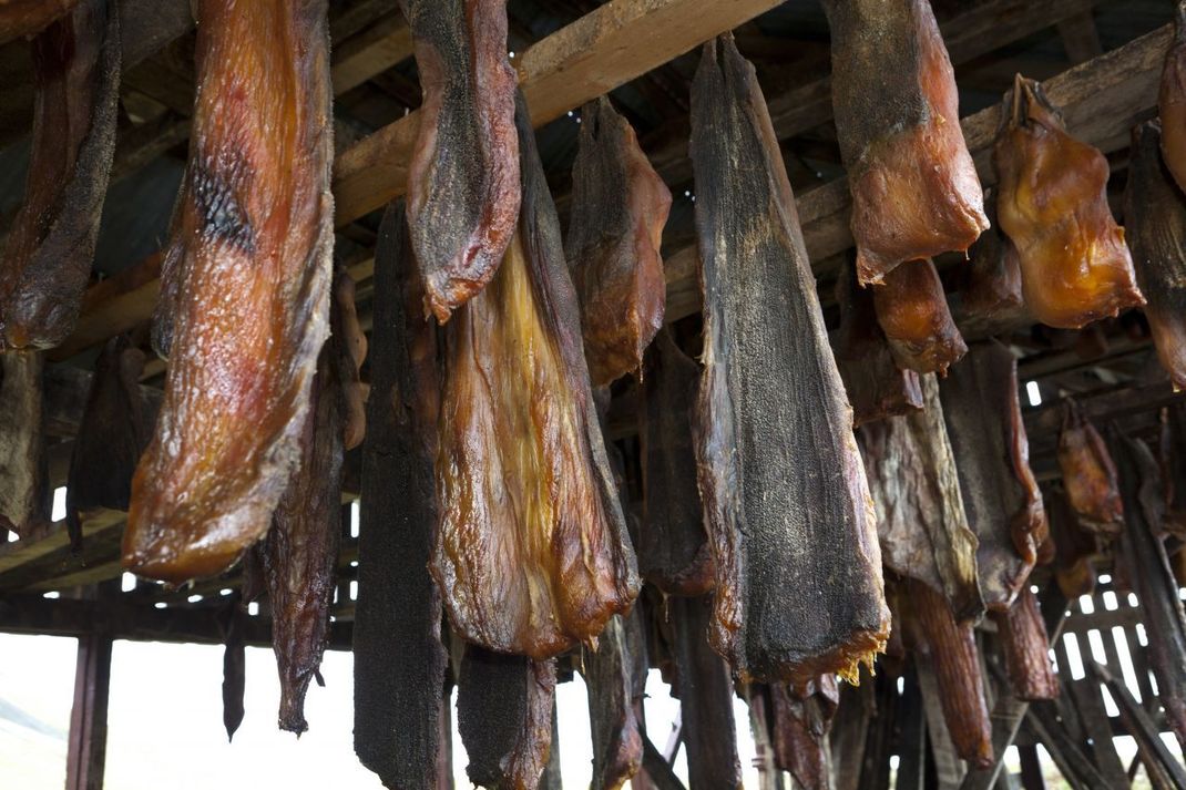 Zuerst wird das Fleisch gesäubert, dann 2 bis 3 Monate in Kisten gelagert und später für 2 bis 4 Monate in Trockenhütten offen aufgehängt. Während dieser Zeit entweicht das giftige Ammoniak.