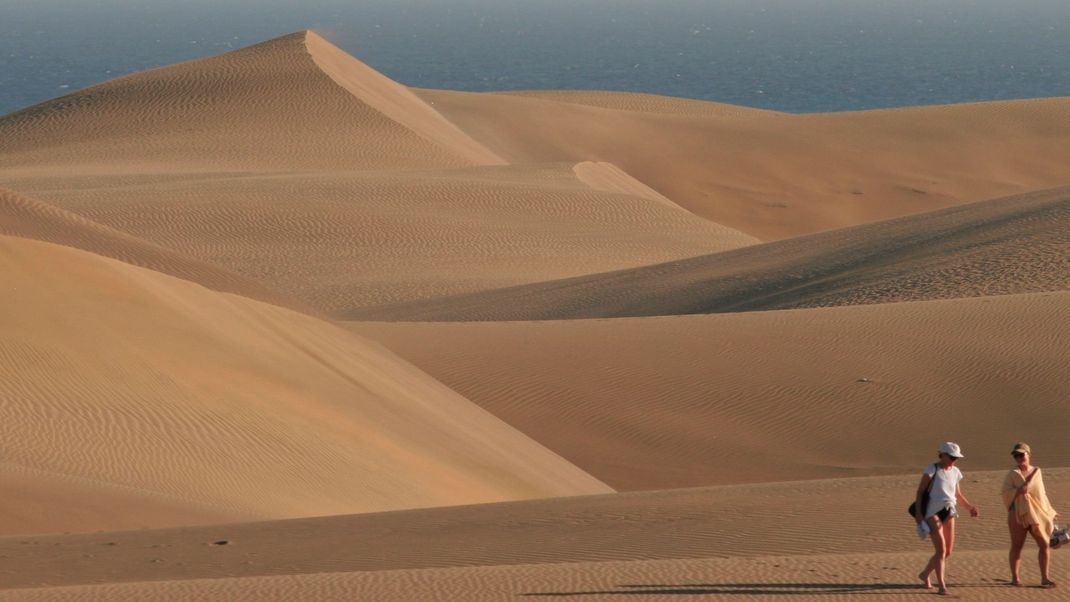 Sanddünen-Naturschutzgebiet von Maspaloma in Playa del Inglés