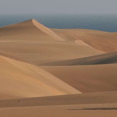 Sanddünen-Naturschutzgebiet von Maspaloma in Playa del Inglés