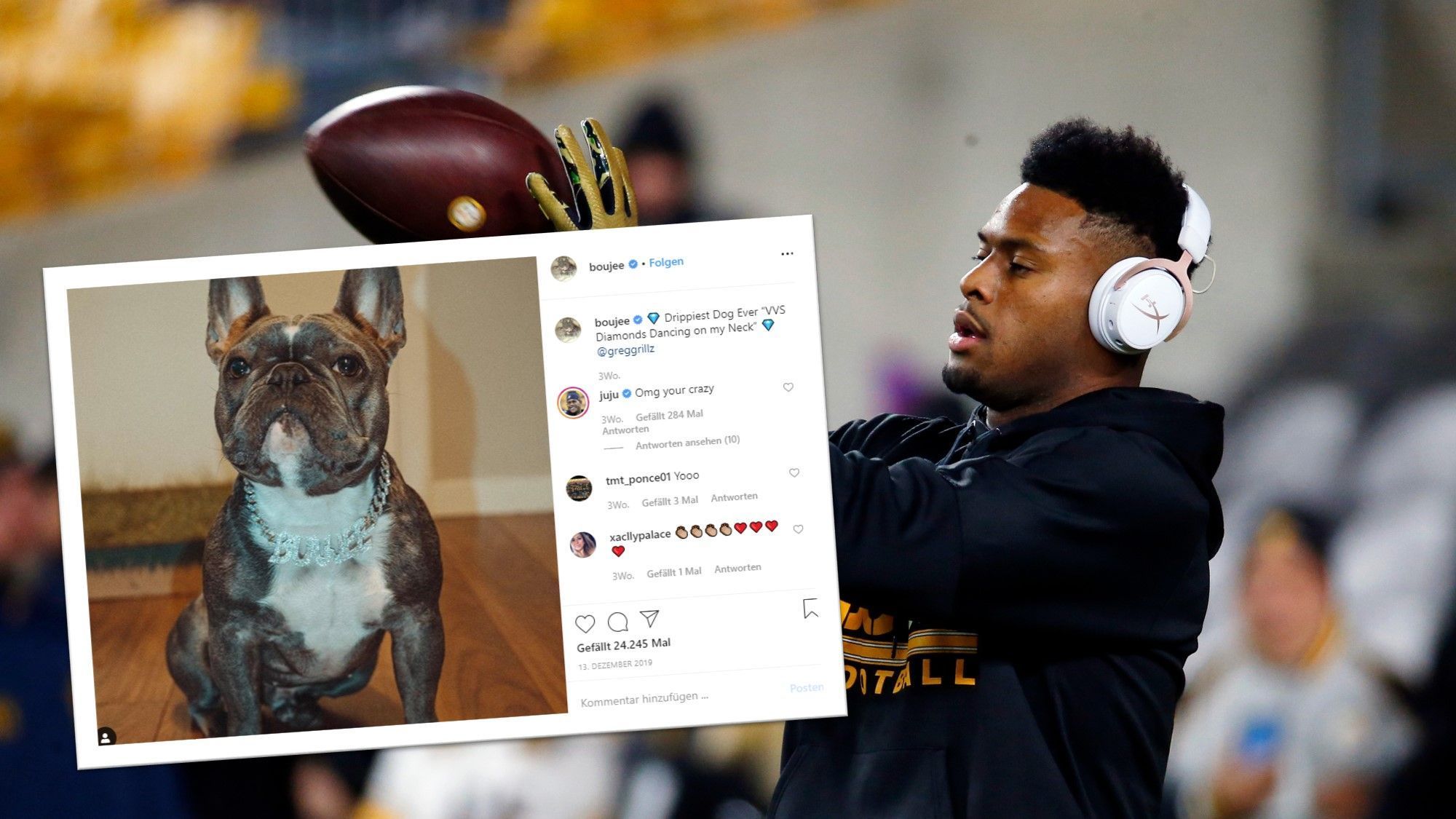 
                <strong>JuJu Smith-Schuster </strong><br>
                Jujus Hund heißt "boujee" und ist eine kleine französische Bulldogge, die dem Wide Receiver der Steelers einiges wert ist - unter anderem auch ein mit Diamanten besetztes Halsband.
              