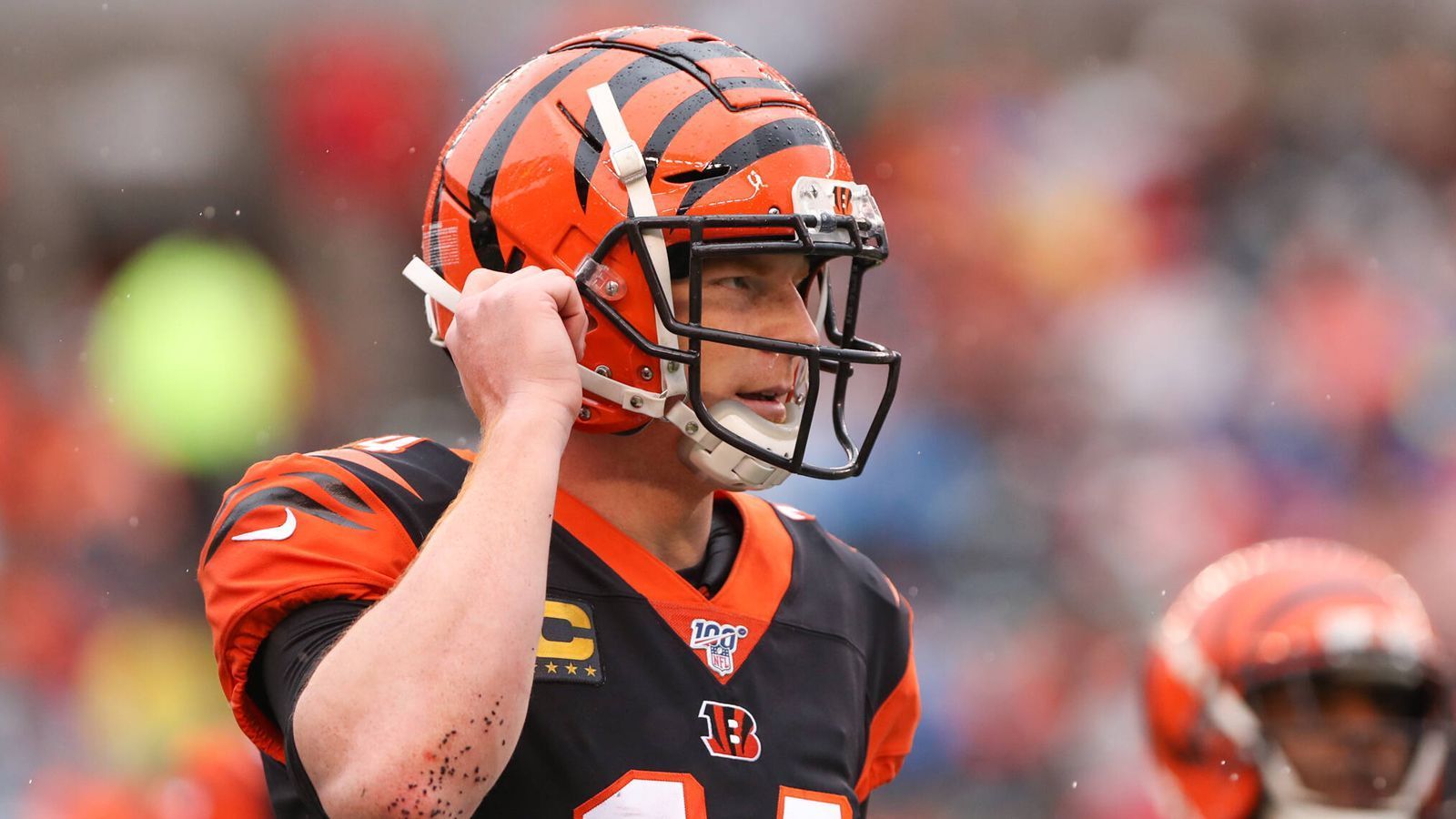 
                <strong>Los Angeles Rams</strong><br>
                Auch bei den Nachbarn könnte es Bedarf geben, hinter Jared Goff aber dann erst einmal nur als Backup. 2019 war es Blake Bortles, der als erfahrener Routinier den Ersatzmann gab.
              