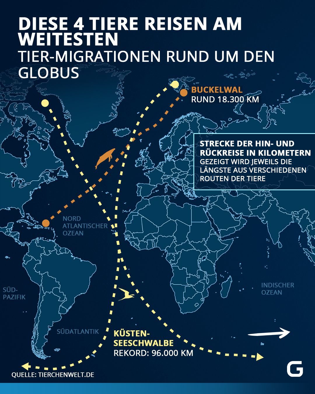 Tier-Migrationen in Kilometern rund um den Globus