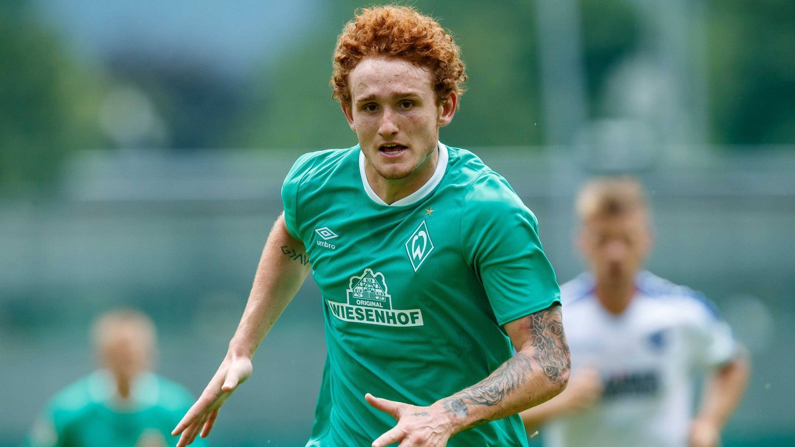 
                <strong>Josh Sargent (Werder Bremen) </strong><br>
                Der junge US-Amerikaner weilte jüngst beim Gold Cup mit der Nationalmannschaft der USA. Im Sturm kann der 19-Jährige von Altmeister Claudio Pizarro lernen. Werders Coach Florian Kohfeldt gilt als großer Förderer junger, talentierter Spieler. Dies kann Sagent, der in der vergangenen Saison zu zehn Bundesliga-Einsätzen (zwei Tore) kam, in die Karten spielen. Zumal offensiv mit Max Kruse ein Stammspieler den Verein verlassen hat und noch nicht adäquat ersetzt wurde.
              