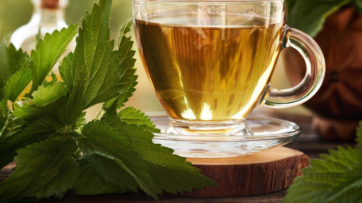 A cup of herbal tea with fresh nettles on a table outdoors in nature