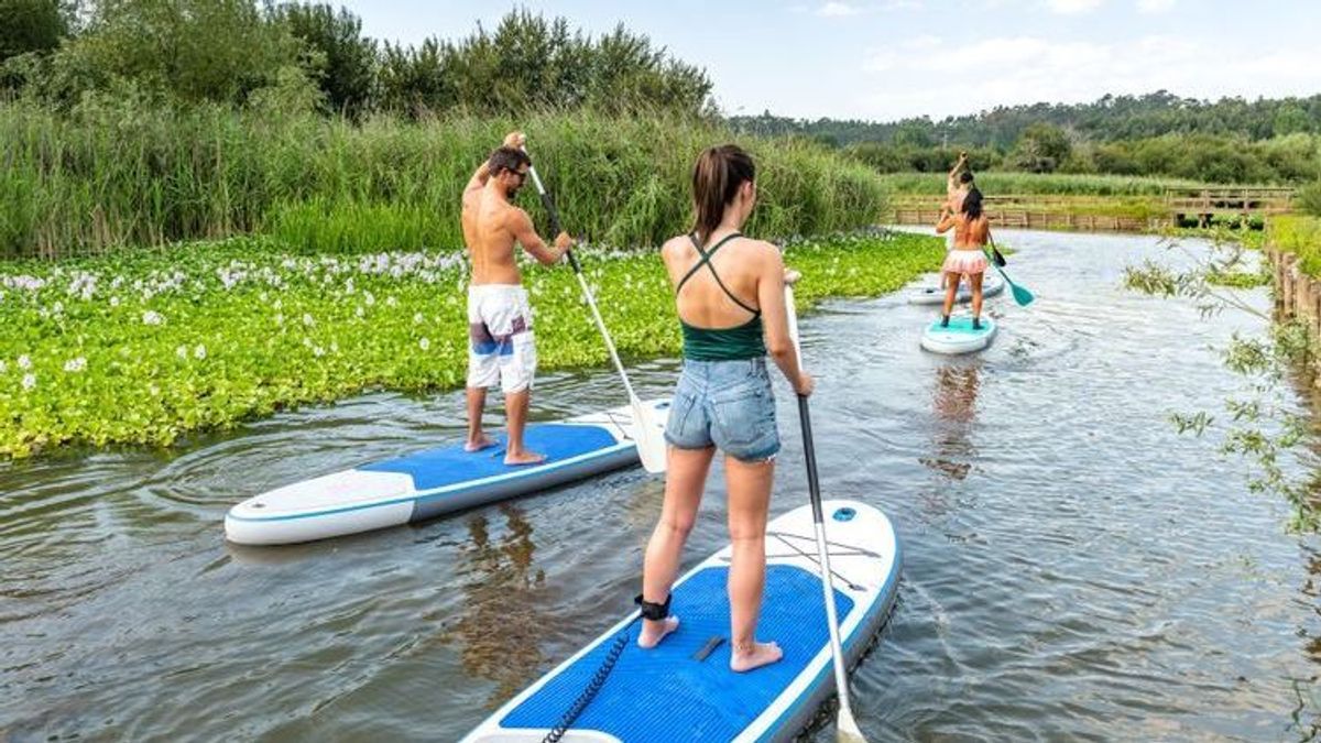 SUP kaufen – welches Stand Up Paddling Board passt zu mir?