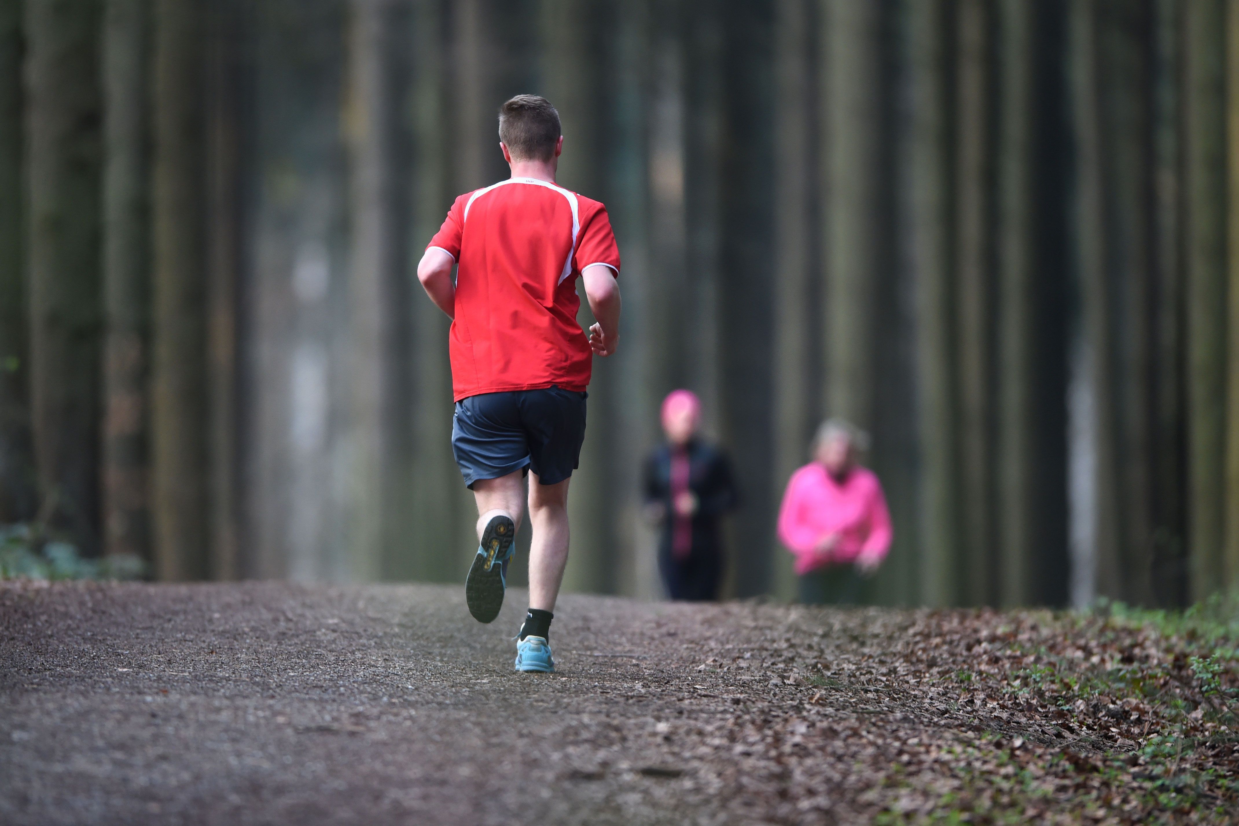 Joggen lernen Wichtige Tipps für Anfänger SAT.1 Ratgeber