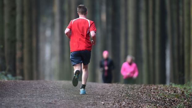 Joggen-im-Wald-dpa