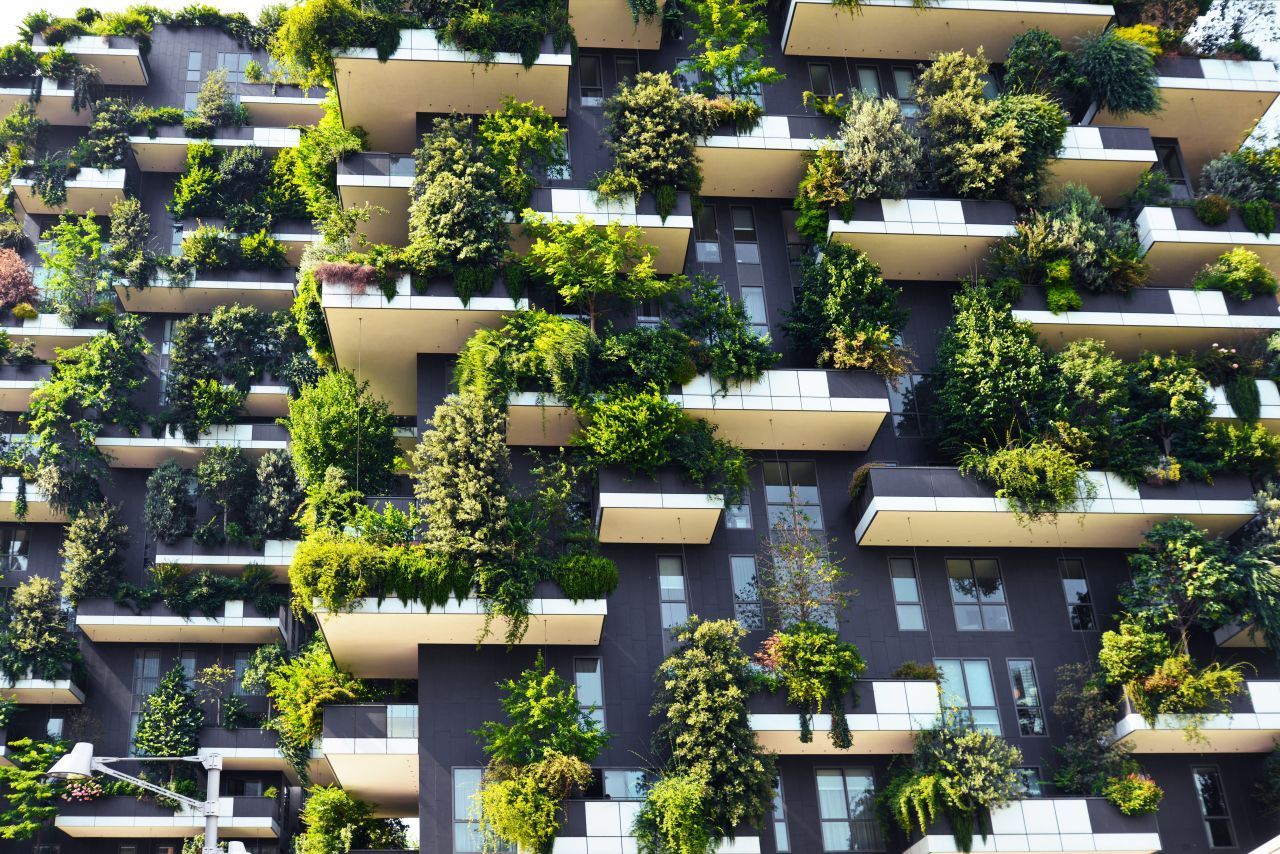 Der senkrechte Wald "Bosco Verticale" steht in Form zweier Hochhäuser in Mailand. 2014 fertiggestellt, sind ihre Fassaden begrünt. In immer mehr Städten entwickeln sich ganze Fassaden-Gärten, in denen sogar Gemüse gezogen werden kann.