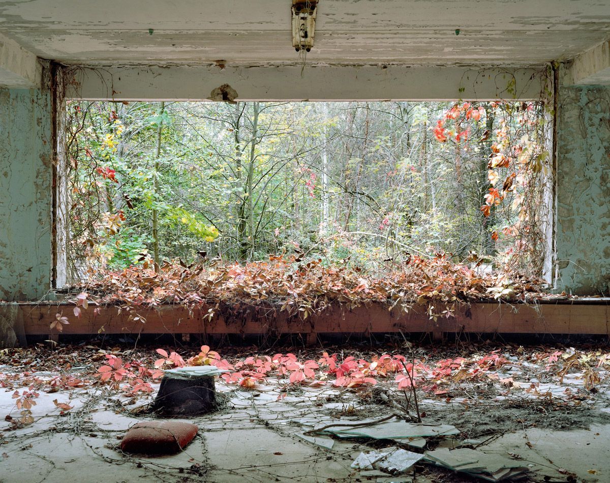 Die Natur kehrt zurück in die Lobby eines Kinderkrankenhauses. Fotografiert im Oktober 2012 in Pripjat.