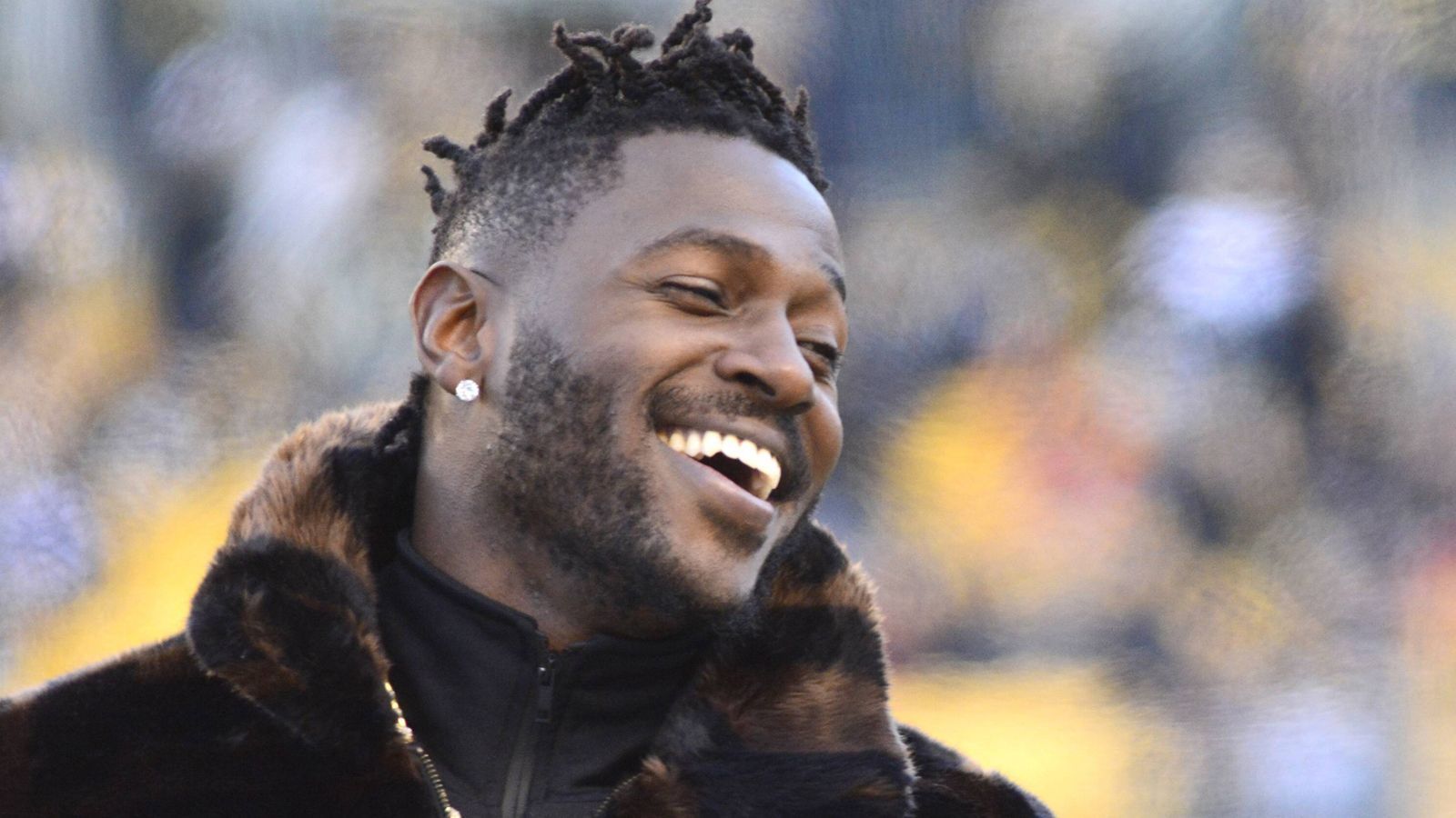 
                <strong>3. Antonio Brown (Pittsburgh Steelers)</strong><br>
                Einnahmen durch Lizenzgebühren: 1,5 Millionen Dollar
              