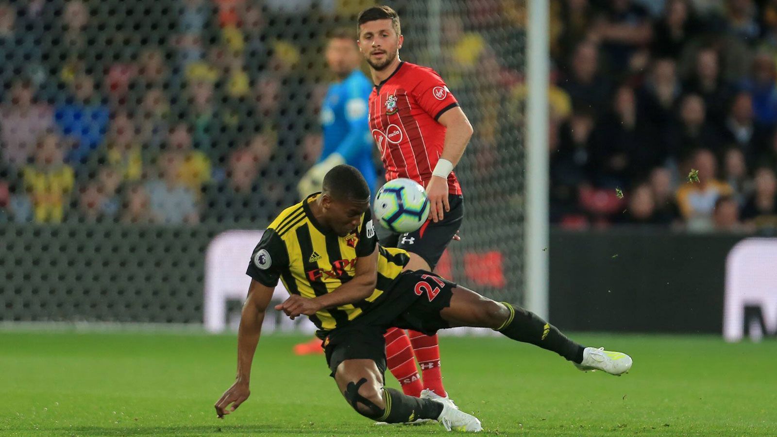 
                <strong>Platz 4: Shane Long (FC Southampton) – 7,69 Sekunden</strong><br>
                Liga: Premier League –Datum: 23. April 2019 –Gegner: FC Watford
              