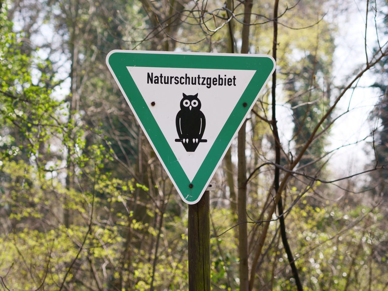 In Berlin und Niedersachsen ist in dem grünen, dreieckigen Schild eine Eule abgebildet.