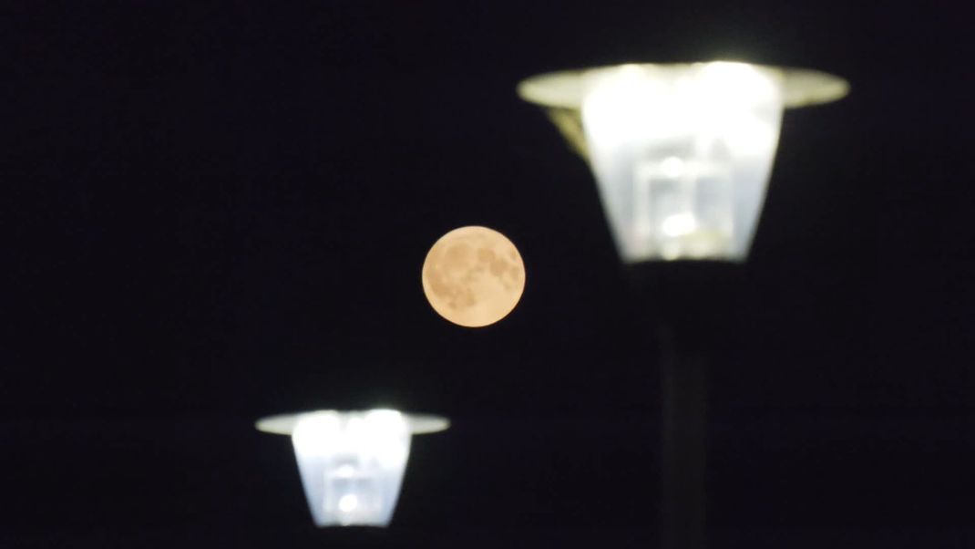 So sah der "Supermond" in Bonn (Nordrhein-Westfalen) aus.