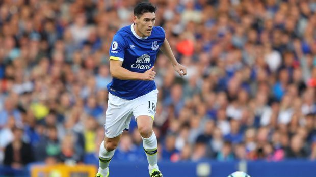 
                <strong>Platz 7 - Gareth Barry (FC Everton)</strong><br>
                Platz 7 - Gareth Barry (35 Jahre alt, FC Everton): 29,4 km/h
              