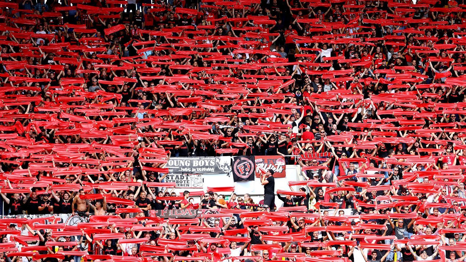 
                <strong>Bayer Leverkusen </strong><br>
                Erwachsene (ab 18 Jahre): 35 EuroJugendliche (13-18 Jahre): 30 Euro
              