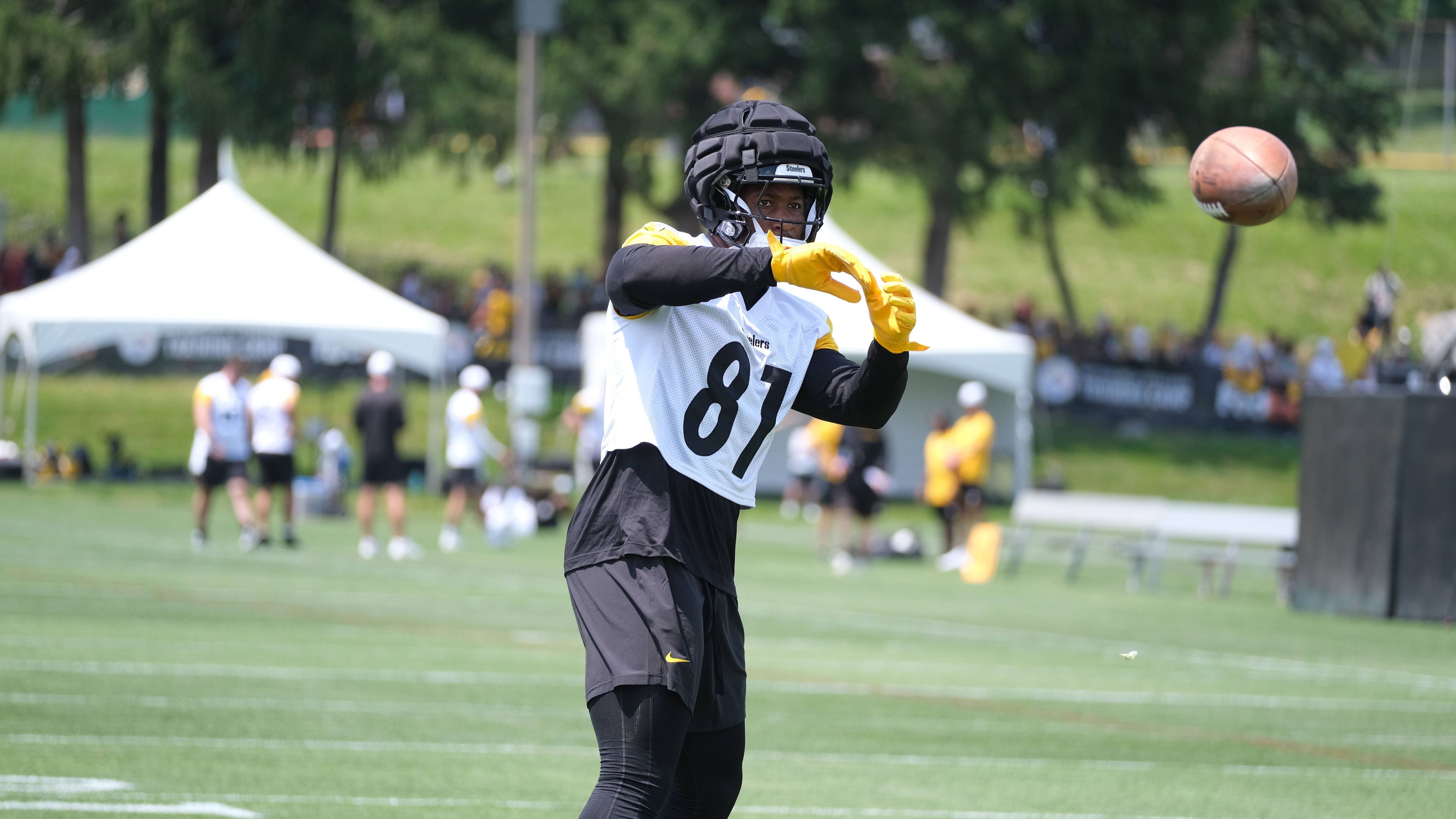 <strong>15. Platz - geteilt:</strong>&nbsp;Jonnu Smith (Pittsburgh Steelers)<br><strong>Overall-Rating:</strong>&nbsp;81