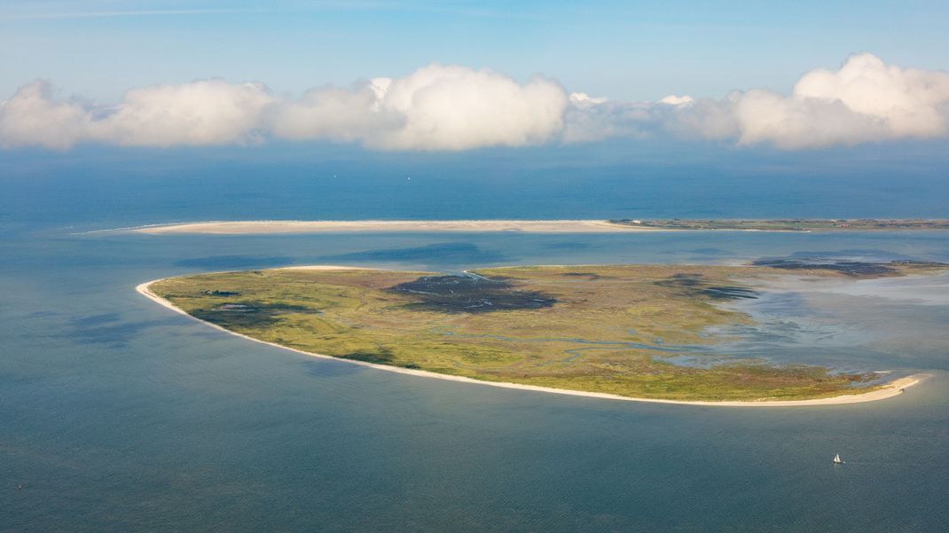 Für die Vogelinsel in der Nordsee sprechen Experten einen Warnruf aus.