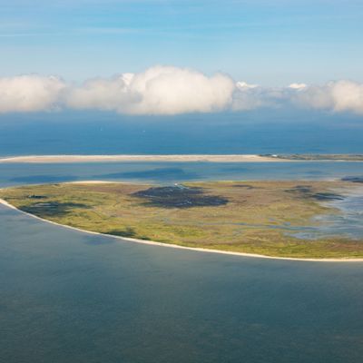 Insel Memmert in der Nähe von Norderney, Deutschland