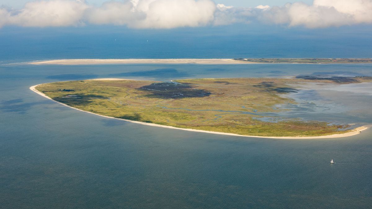 Insel Memmert in der Nähe von Norderney, Deutschland