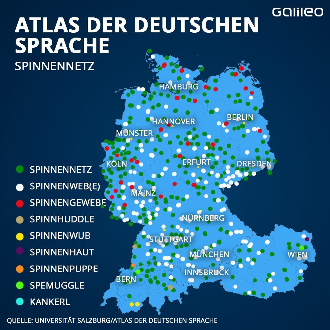 Schrippe, Weck, Semmel: Kennst du Deutschlands Dialekte?