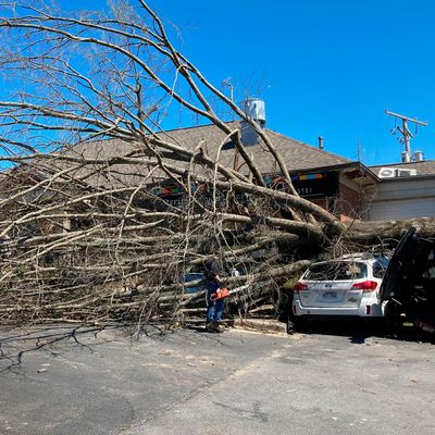 Von einem Tornado zerstörte Häuser und Autos in Little Rock in den USA