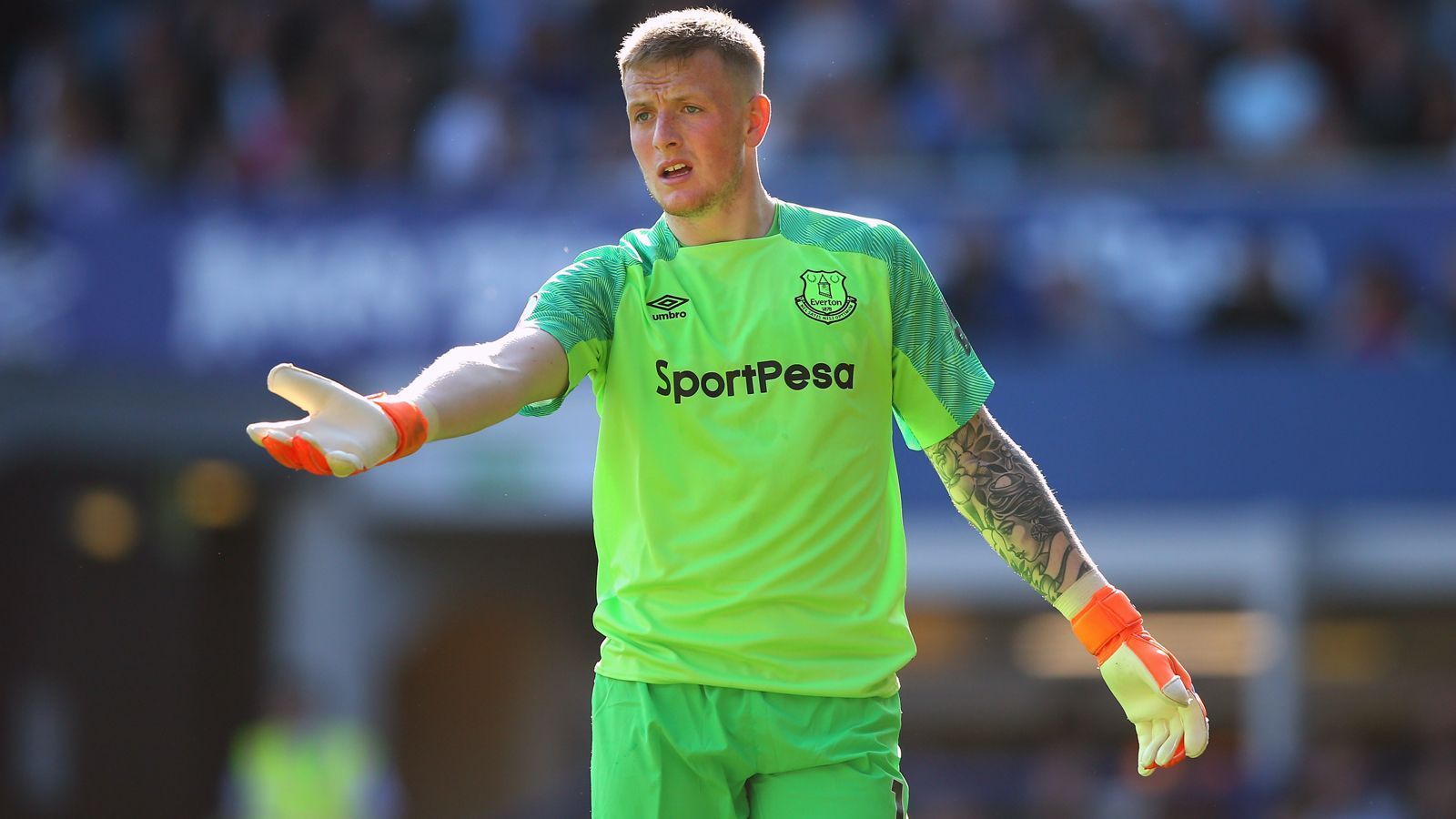 
                <strong>Platz 9 - Jordan Pickford (FC Everton) </strong><br>
                &#x2022; <strong>Wechsel von:</strong> AFC Sunderland (2017)<br>&#x2022; <strong>Ablösesumme:</strong> 28,5 Millionen Euro<br>
              