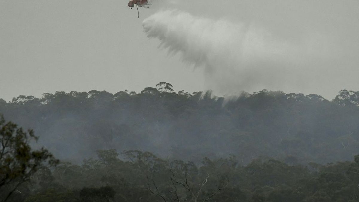 Seit Wochen ist Australien von Buschbränden betroffen