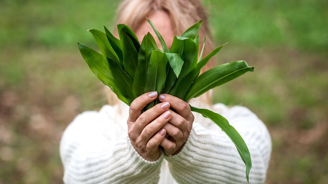 Auf dieses Aroma freuen wir uns das ganze Jahr: Bärlauch hat bis Anfang Mai Saison&nbsp;- mit unseren Tipps kannst du ihn aber noch&nbsp;ganz lange genießen!