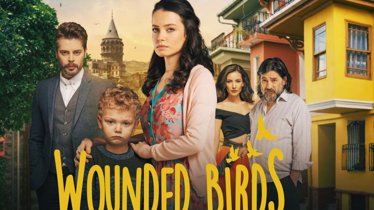 Wounded Birds