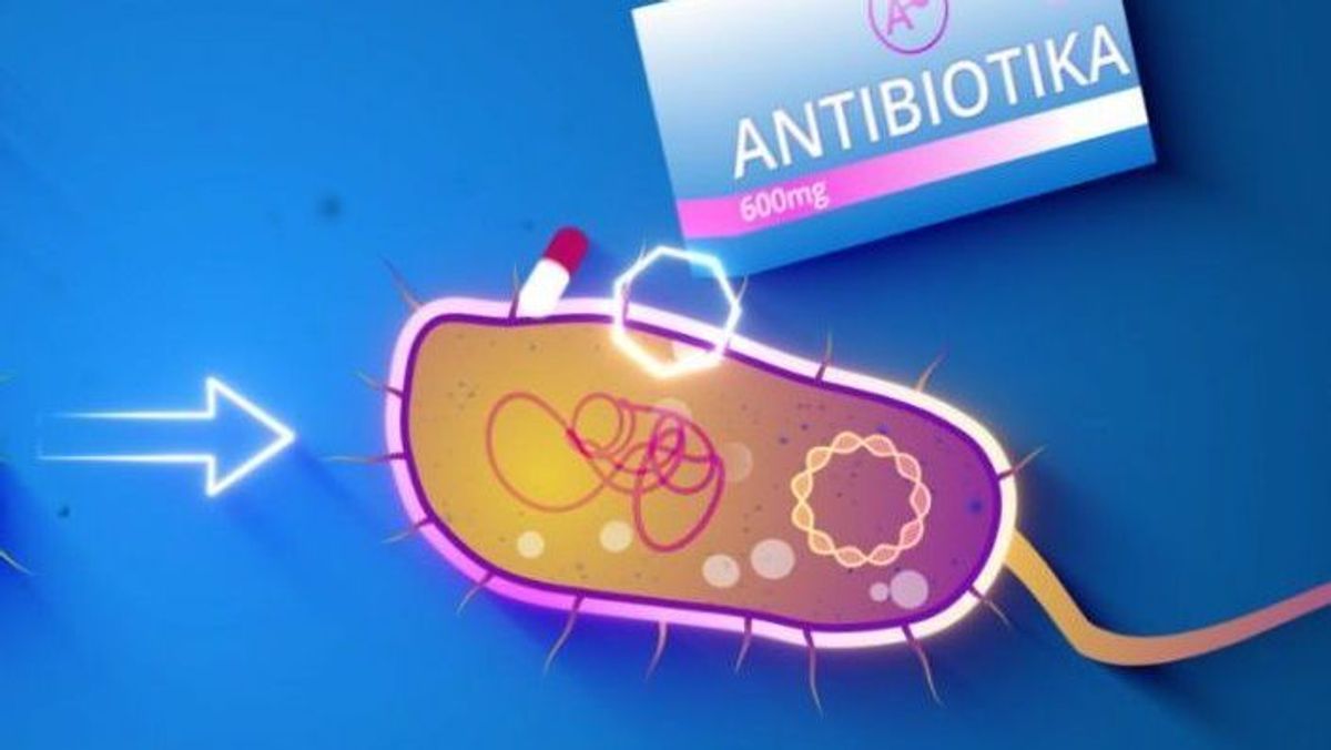 Antibiotikaresistenz Galileo 1 E 1617814441400