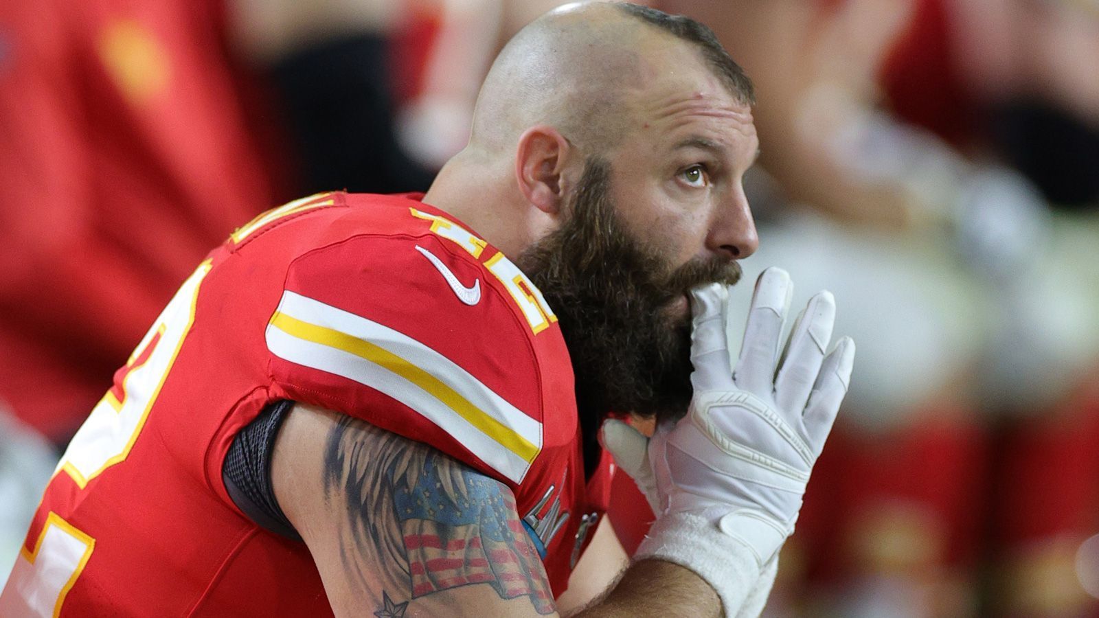 
                <strong>Kansas City Chiefs: Anthony Sherman</strong><br>
                Position: FullbackIm Team seit: 8 Saisons
              