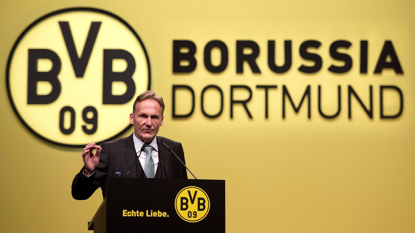 
                <strong>Borussia Dortmund</strong><br>
                Die Dortmunder haben ihre Profi-Abteilung sowie zweite Mannschaft und die A-Jugend ausgegliedert (Borussia Dortmund GmbH & Co. KGaA). Zudem ist der BVB an der Börse gelistet. 59,93 % der Aktien befinden sich im Streubesitz. Evonik Industries besitzt mit 14,87 % den größten alleinigen Anteil.Kommanditaktionäre:59,93 % Streubesitz14,78 % Evonik Industries9,33 % Bernd Geske5,53 % Borussia Dortmund e. V.5,43 % Signal Iduna5,00 % Puma
              