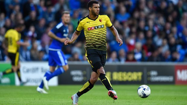 
                <strong>FC Watford</strong><br>
                Platz 9: FC Watford. Ausgaben: 48,63 Millionen Euro - Top-Transfer: Etienne Capoue (8,9 Millionen Euro/Tottenham Hotspur).
              