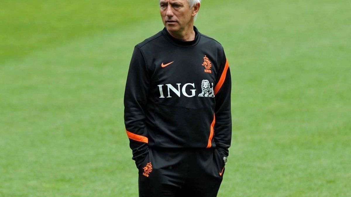 Bert van Marwijk: Lob von Rafael van der Vaart