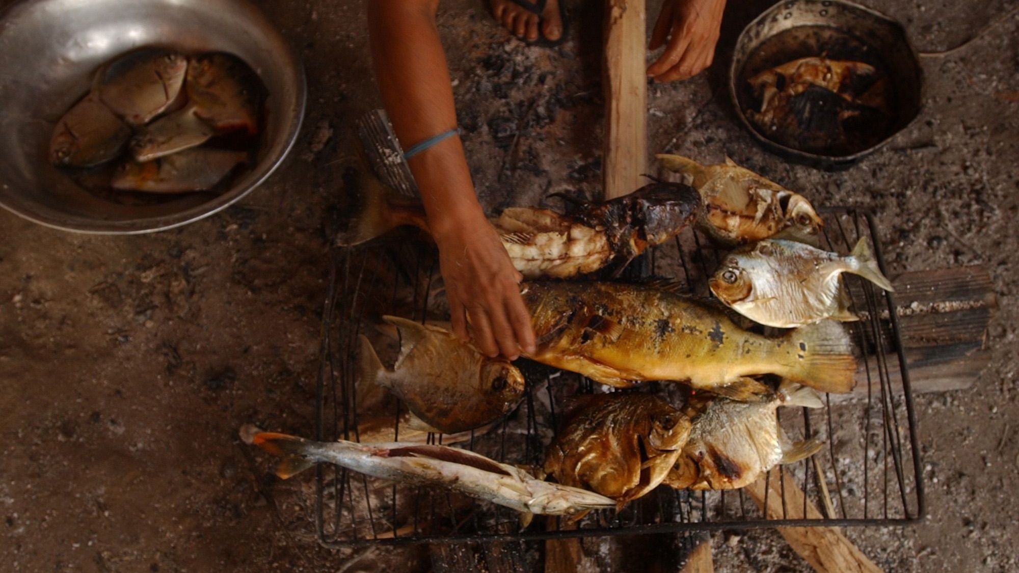 Das Fest endet mit der Verteilung von Pequi-Nüssen durch die initiierten Frauen und einem großen Essen, bestehend vor allem aus Maniok-Fladen und Fisch. Die Gemeinschaft ist jetzt wieder in das Alltagsleben integriert und die Trauerphase beendet.