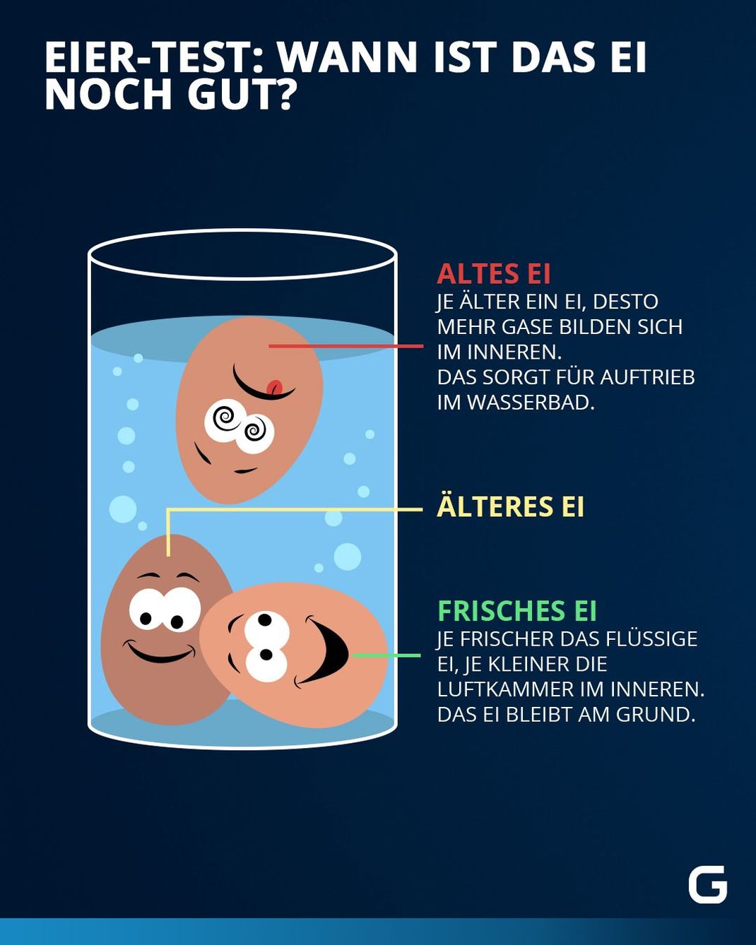 Eier-Test: Wann ist das Ei noch gut?