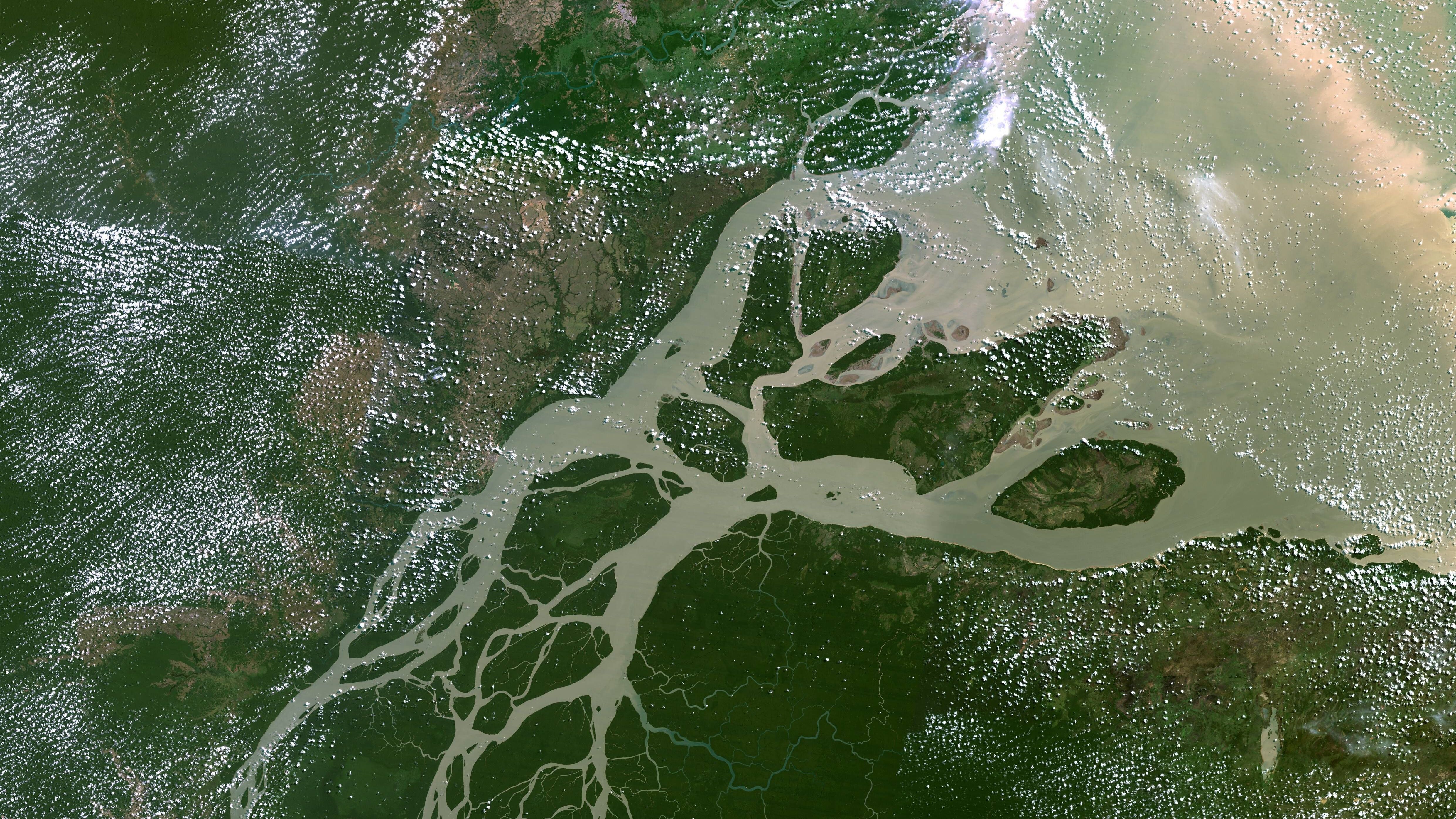 Das Amazonas-Delta ist gemeinsam mit dem Ganges-Delta das größte Fluss-Delta der Welt. Es umfasst rund 100.000 Quadratkilometer und beherbergt eines der artenreichsten Ökosysteme unseres Planeten. Etwa 15 Prozent aller weltweiten Arten leben hier.