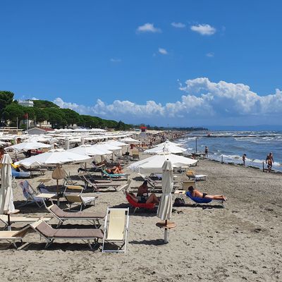 Grado