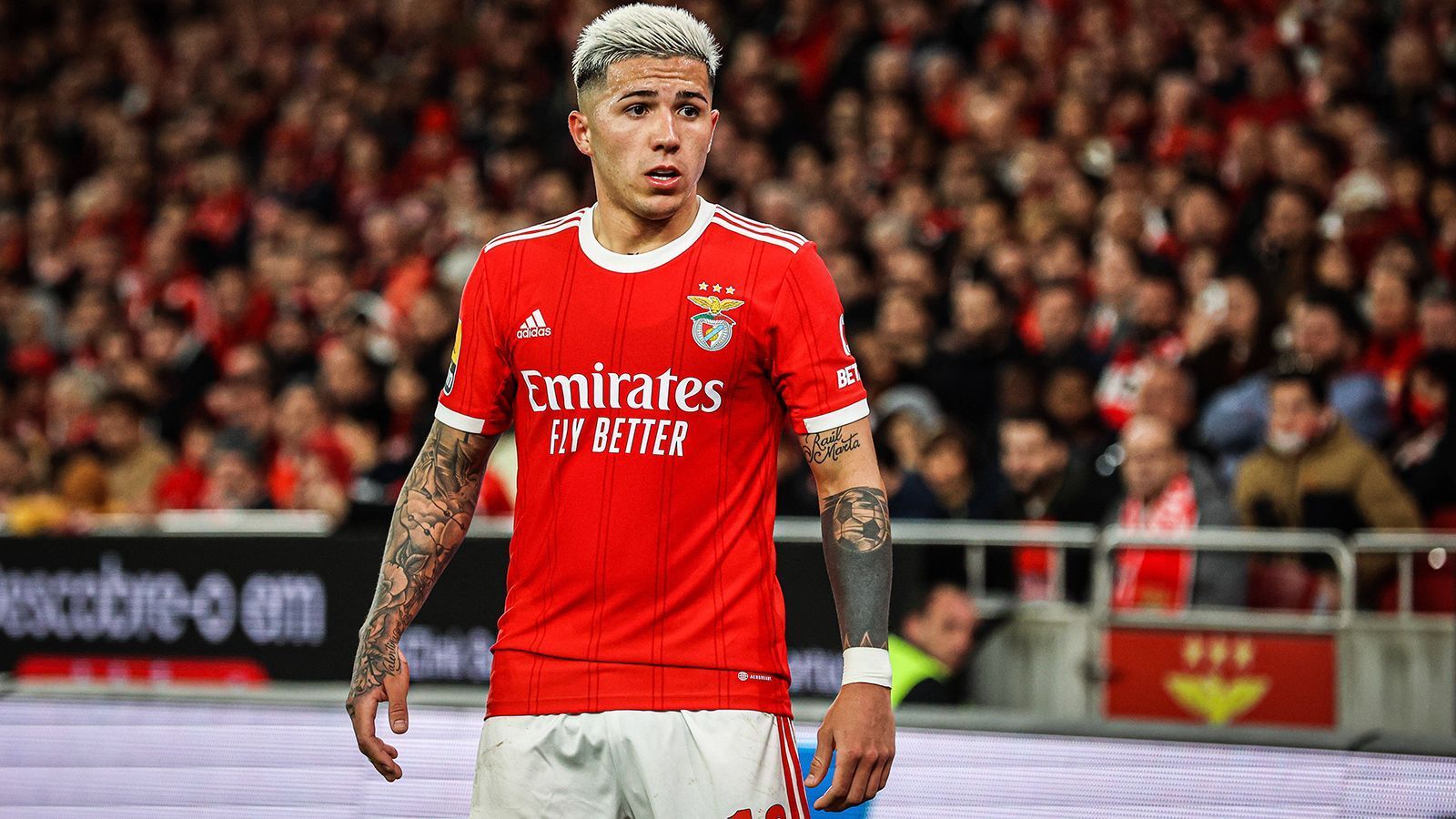 
                <strong>Enzo Fernandez (Benfica Lissabon)</strong><br>
                Eigentlich war der Wechsel von Enzo Fernandez zum FC Chelsea schon vom Tisch. Kurz vor dem Ende des Transferfensters scheint aber doch noch einmal Fahrt in die Verhandlungen zwischen dem portugiesischen Spitzenteam und den "Blues" zu kommen. Laut mehrerer Medien und dem Transfer-Insider Fabrizio Romano, sind die Londoner nun doch bereit die Ausstiegsklausel von 120 Millionen Euro zu ziehen. Demnach soll es zwischen den Klubs nur noch Unstimmigkeiten aufgrund der Zahlungsmodalität geben. Während Lissabon die Summe gerne in einer Einmalzahlung erhalten würde, bevorzugt Chelsea eine Ratenzahlung.
              