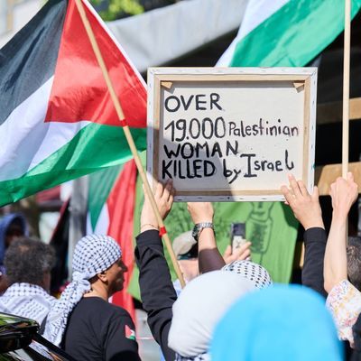 Demonstration «Stoppt den Gaza Genozid»