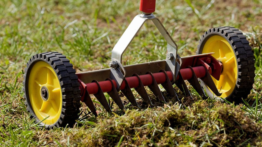 Rasenpflege mit System: Wie du deinen Rasen erfolgreich von Moos und Unkraut befreist und Fehler beim Vertikutieren vermeidest.