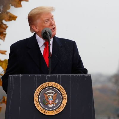 Trump zu Notre-Dame-Eröffnung in Paris erwartet