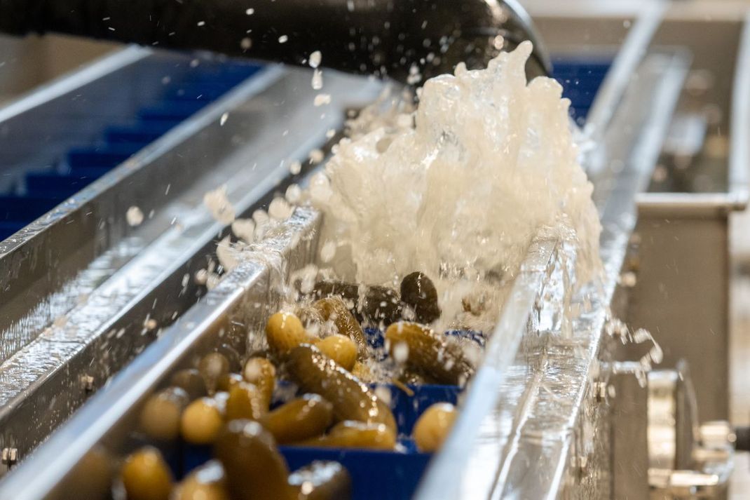 Statt Streusalz: Bei der Produktion von Gewürzgurken fällt Salzwasser an - und das kommt mittlerweile gegen Glatteis zum Einsatz. 