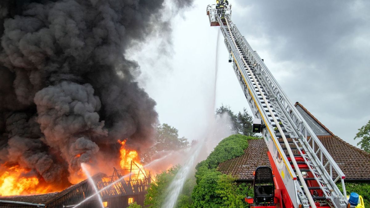 Lagerhalle mit 60 Autos abgebrannt - Millionenschaden