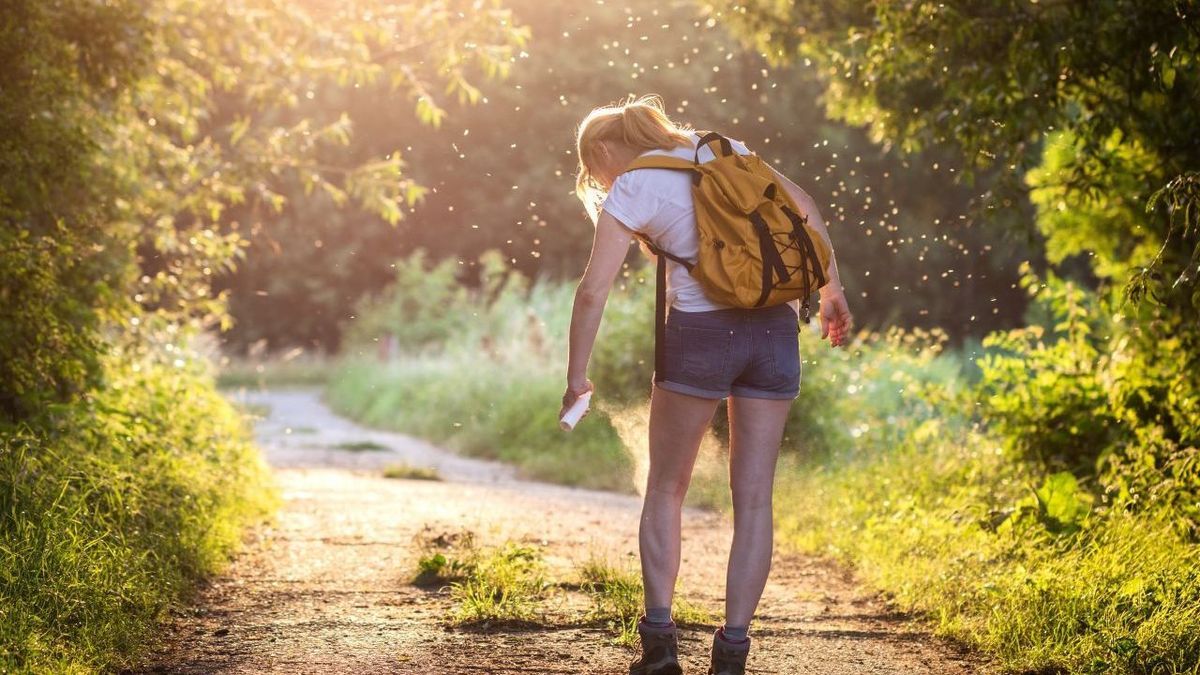 Mücken Sommer Adobestock 364102112