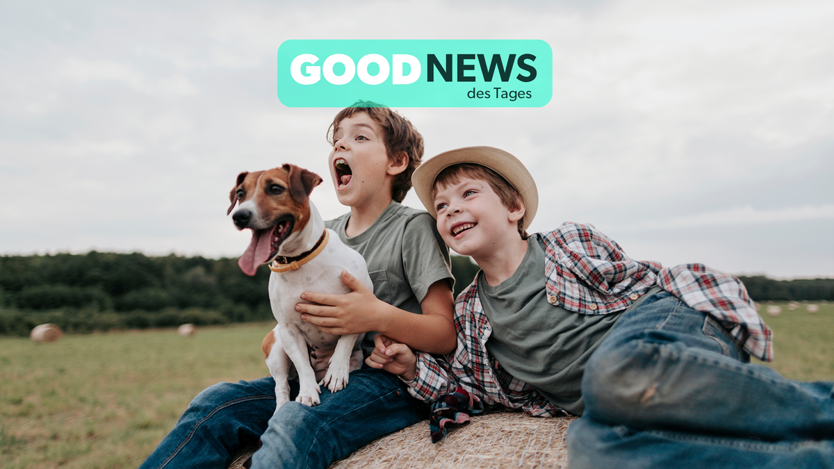 Good News: Studie belegt, wie Hunde die Gesundheit von Kindern beeinflussen