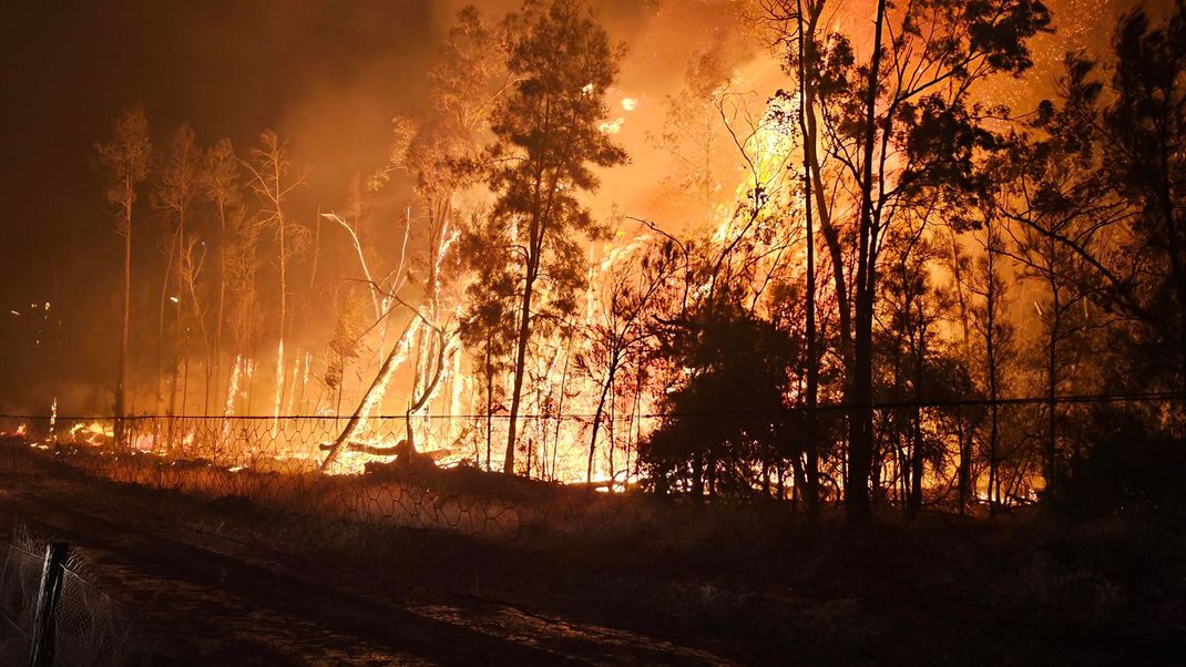 Verheerende Buschbrände in Australien wie hier bei Millmerran in Queensland haben bereits 8.000 Hektar Land zerstört.